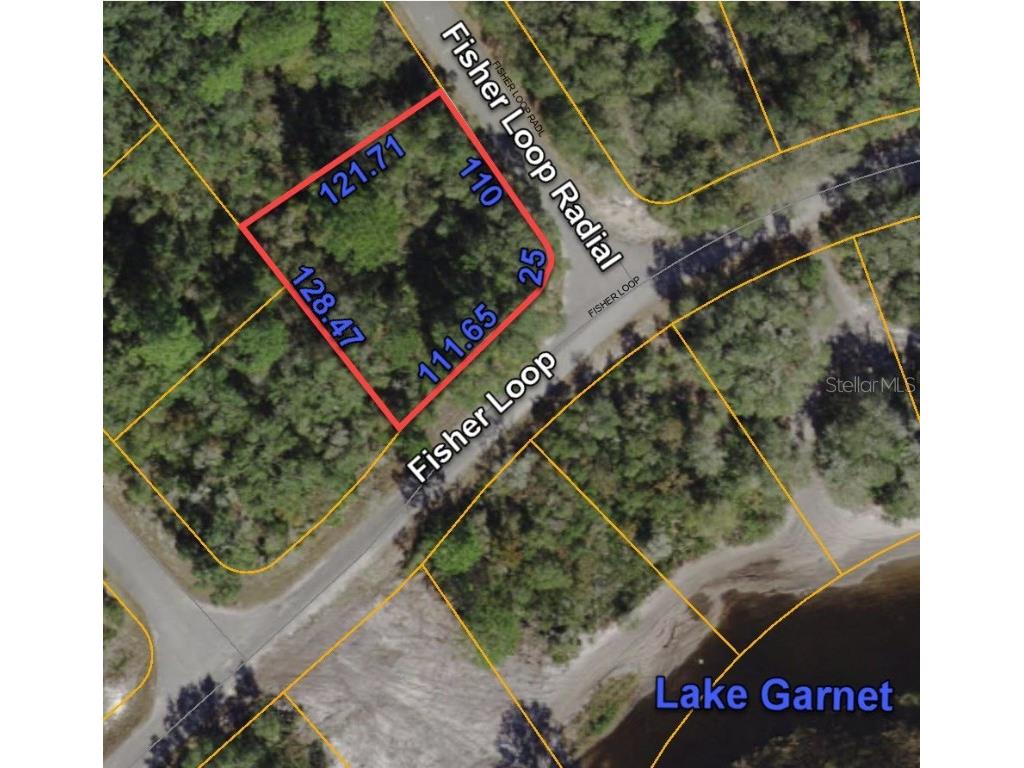 0 Fisher Loop Ocklawaha FL 32179 O6161183 image1