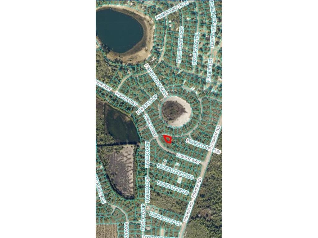 0 Fisher Loop Ocklawaha FL 32179 OM644804 image1