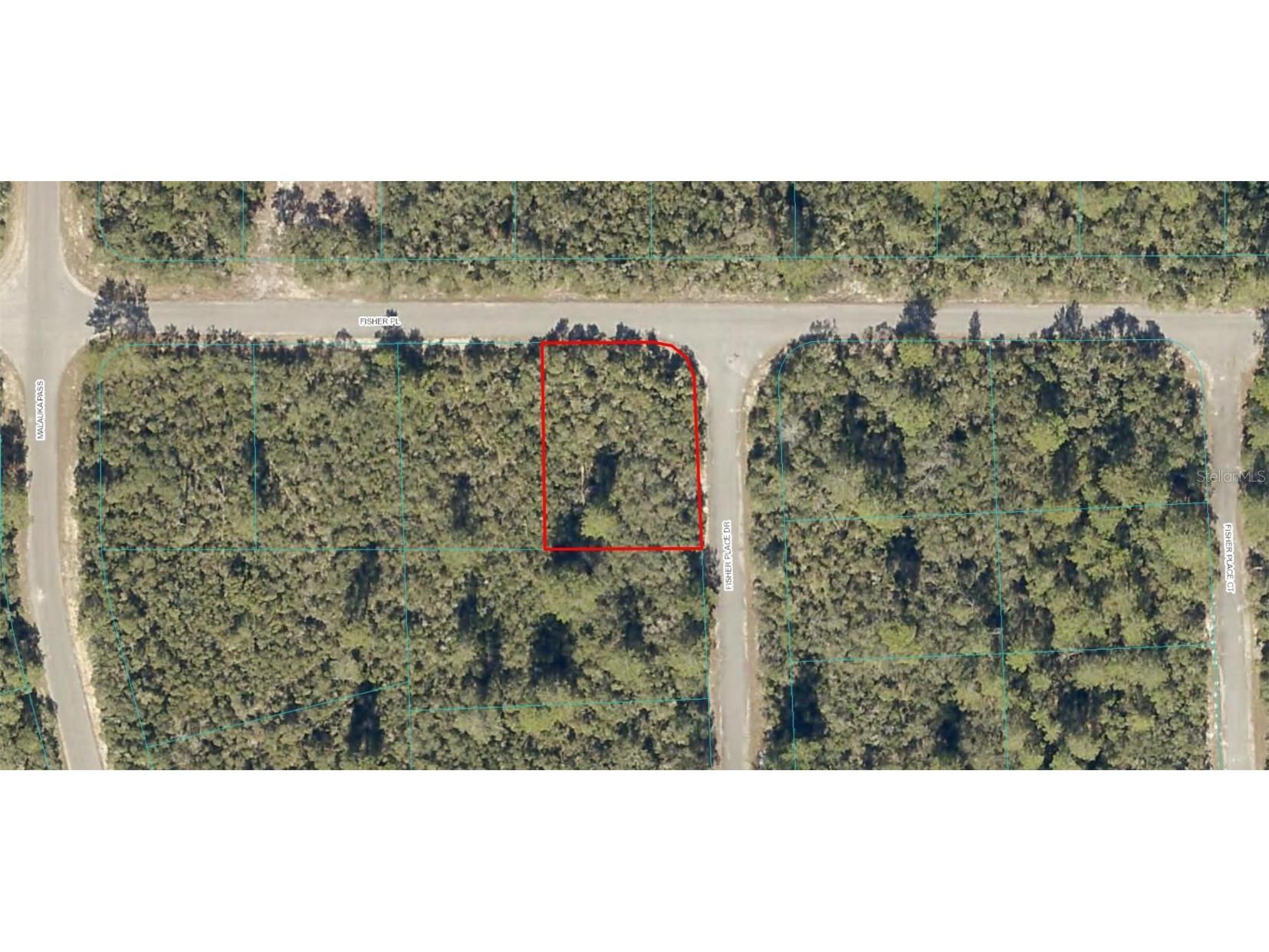 0 Fisher Place Ocklawaha FL 32179 OM658291 image1