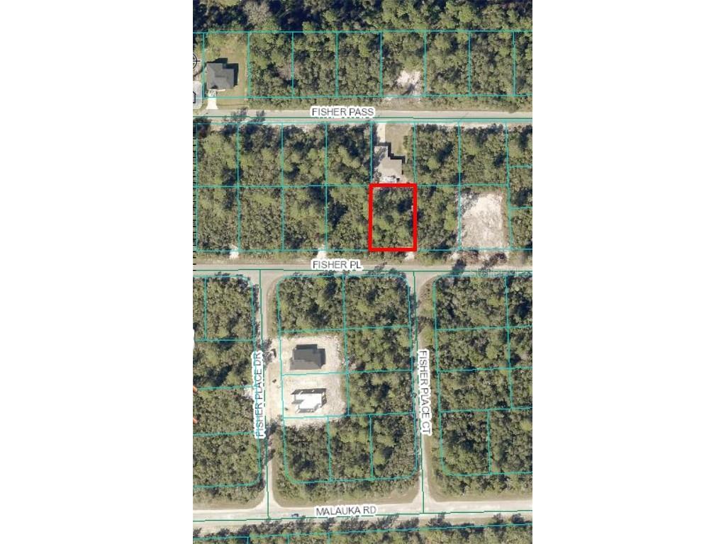 0 Fisher Place Ocklawaha FL 32179 OM691755 image1