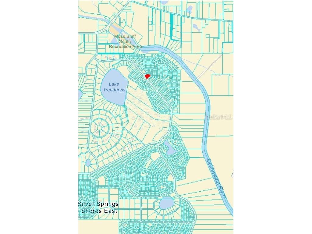 0 Fisher Road Ocklawaha FL 32179 NS1080512 image1