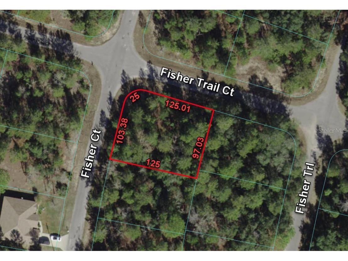 0 Fisher Trail Court Ocklawaha FL 32179 O6157359 image1