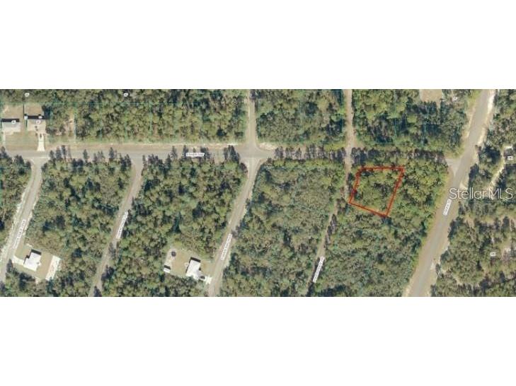 0 Fisher Way Ocklawaha FL 32179 O6384636 image1