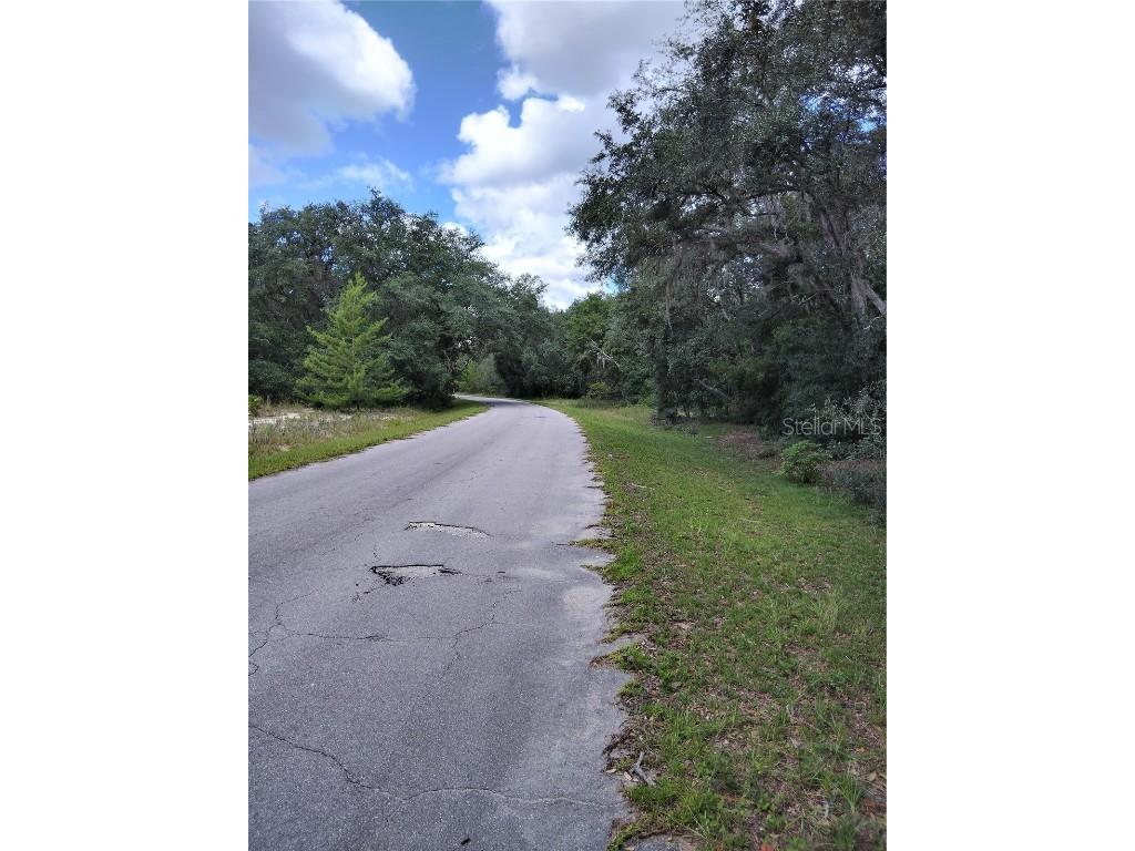 0 Fisher Way Run Ocklawaha FL 32179 OM685321 image1