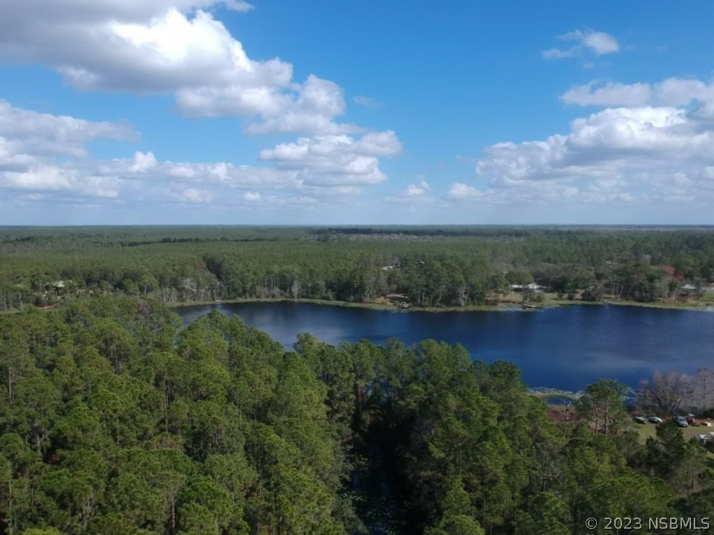 0 Fishermans Road Paisley FL 32767 NS1072353 image1