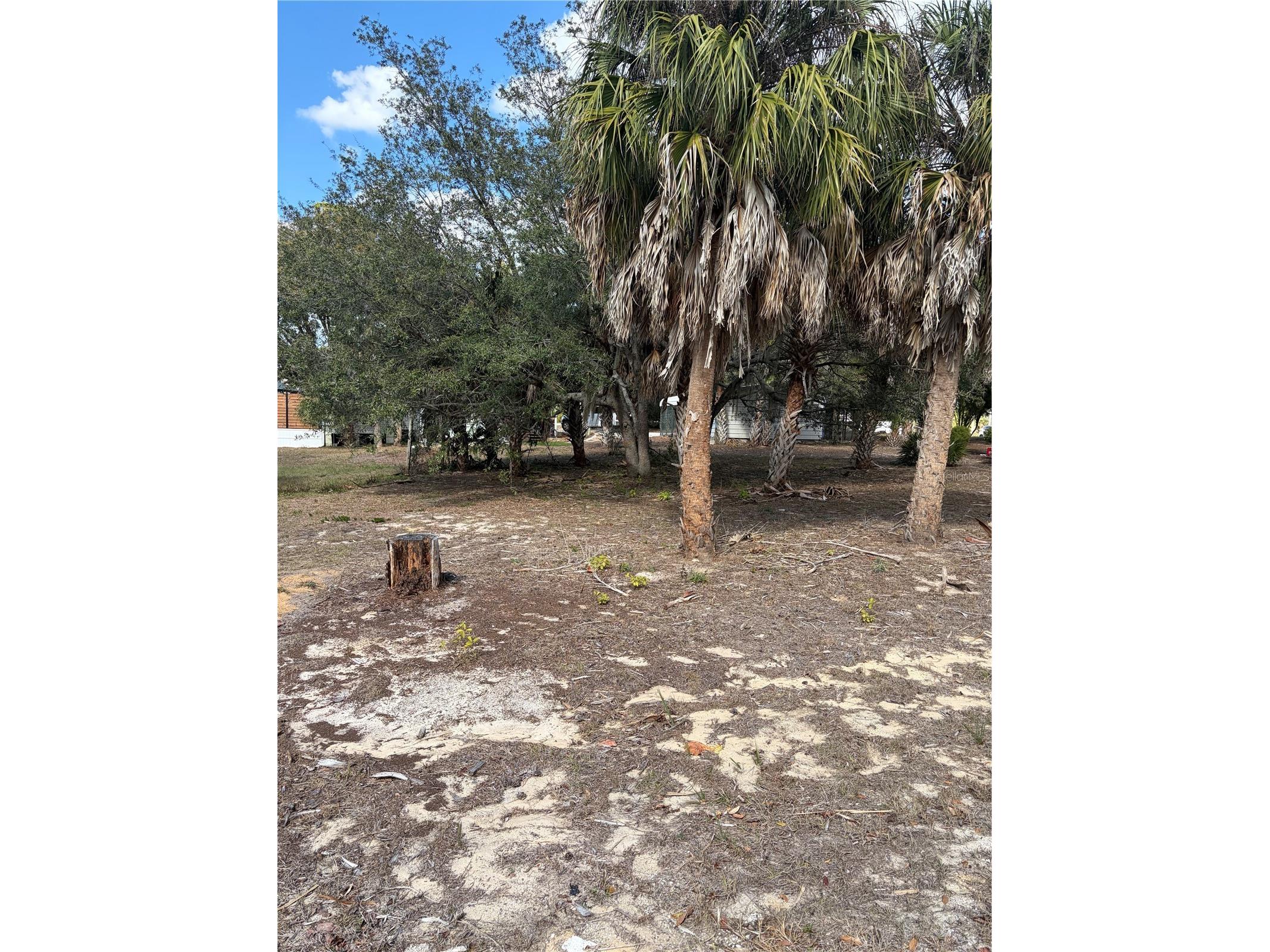 0 Fishman Avenue Weeki Wachee FL 34607 TB8477293 image2