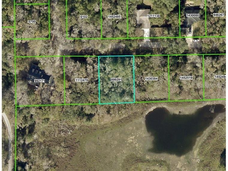 0 Fitzhugh Avenue Brooksville FL 34601 W7868787 image1