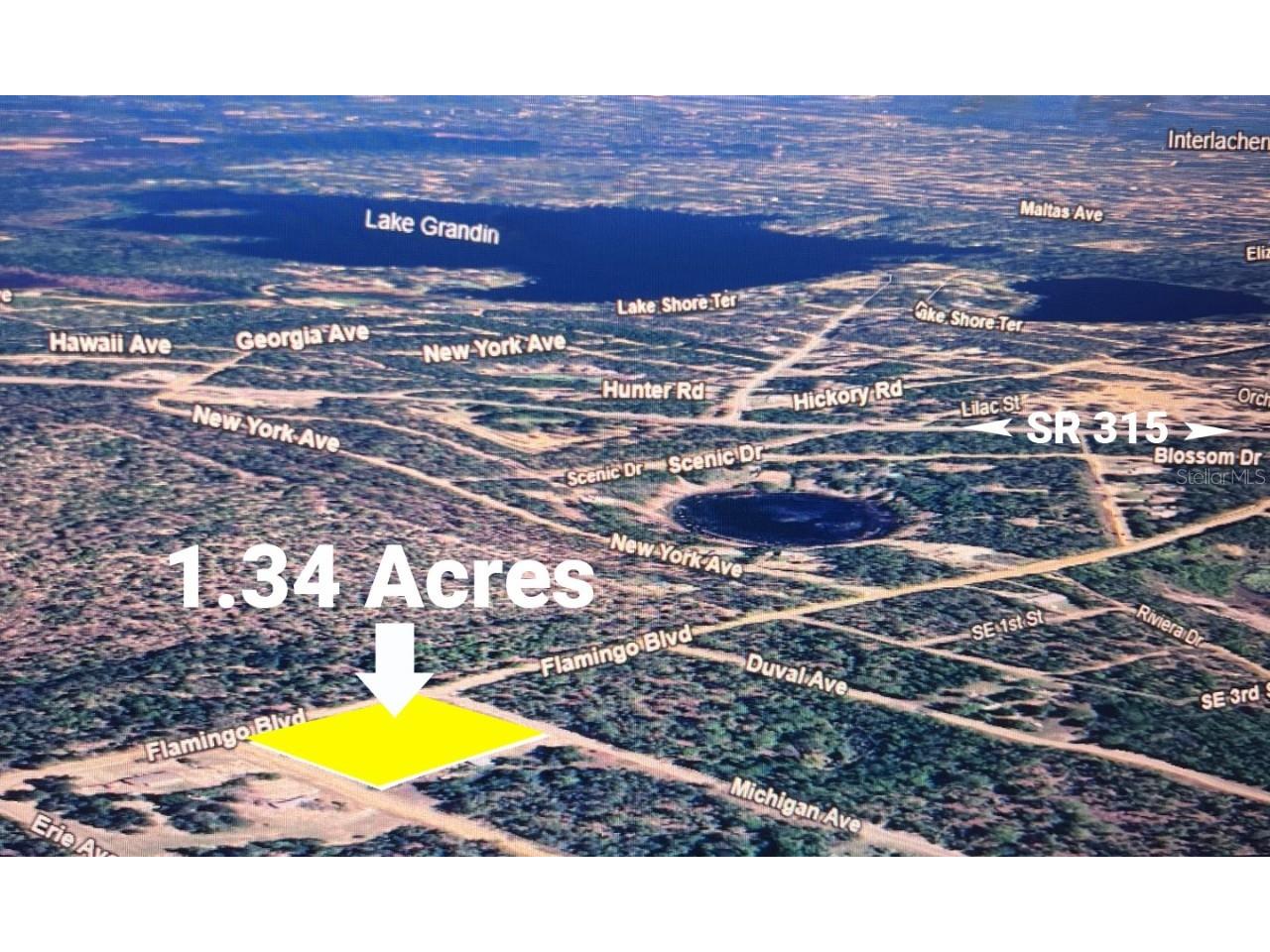 0 Flamingo Boulevard Interlachen FL 32148 OM704423 image2