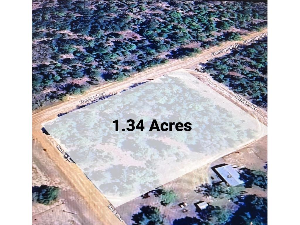 0 Flamingo Boulevard Interlachen FL 32148 OM704423 image3