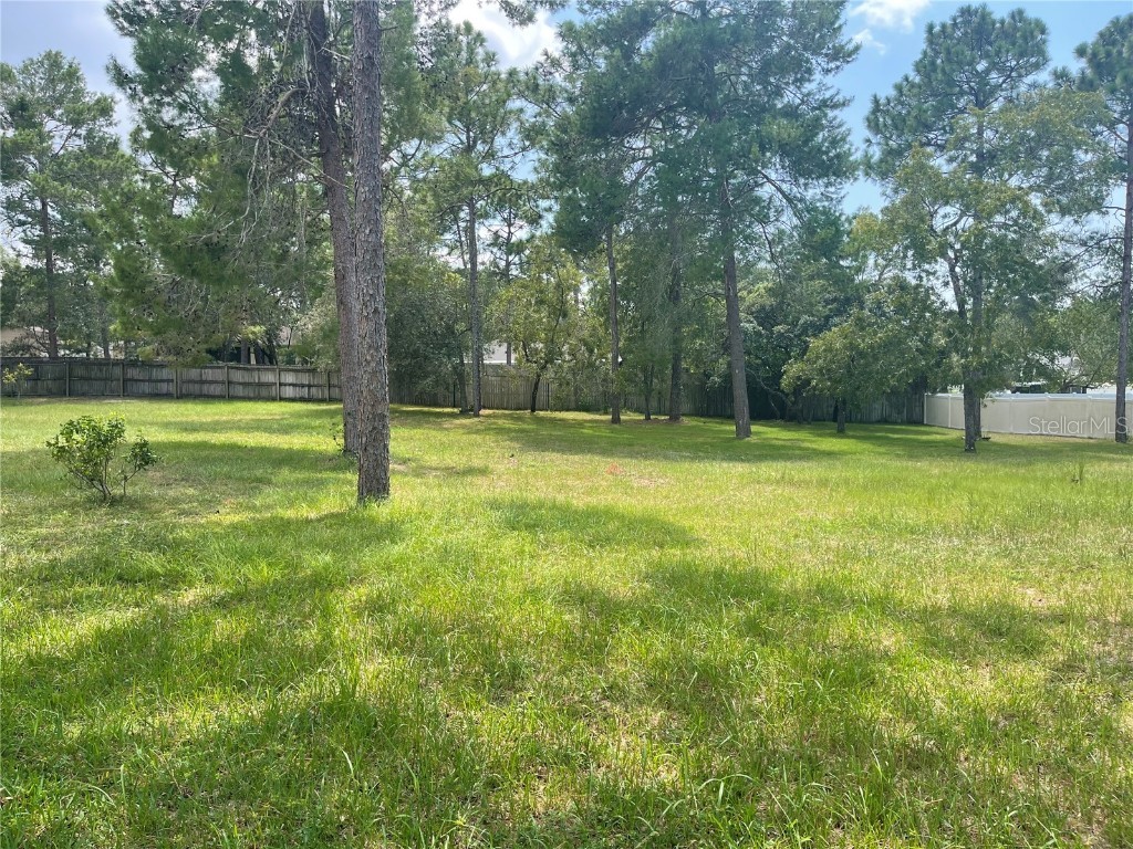 0 Flower Avenue Brooksville FL 34613 T3549869 image1