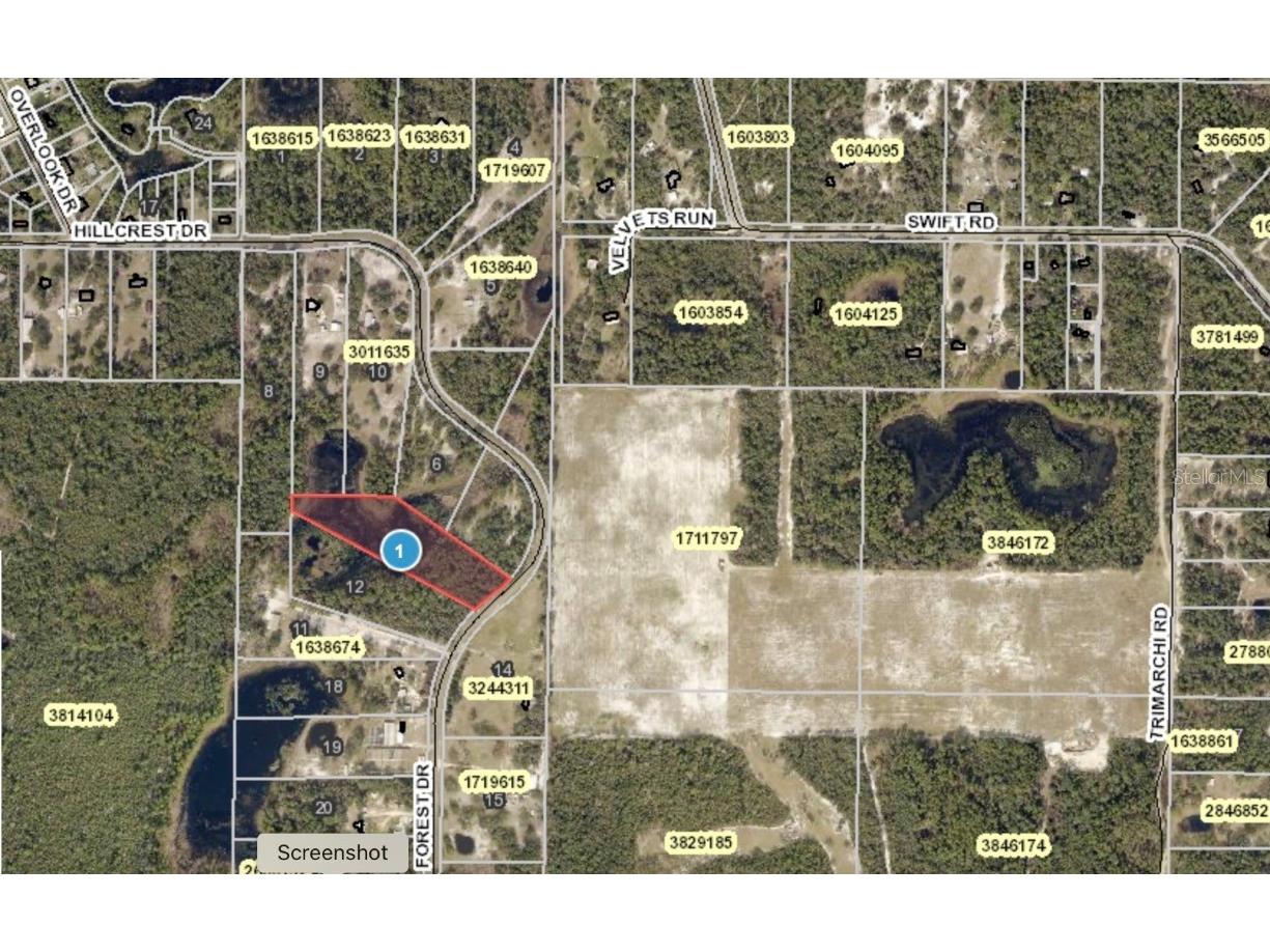 0 Forest Drive Eustis FL 32736 G5054489 image1