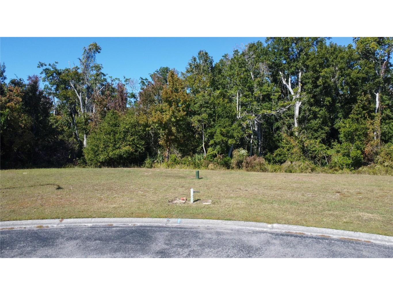 0 Forest Glenn Drive Spring Hill FL 34607 W7881243 image2