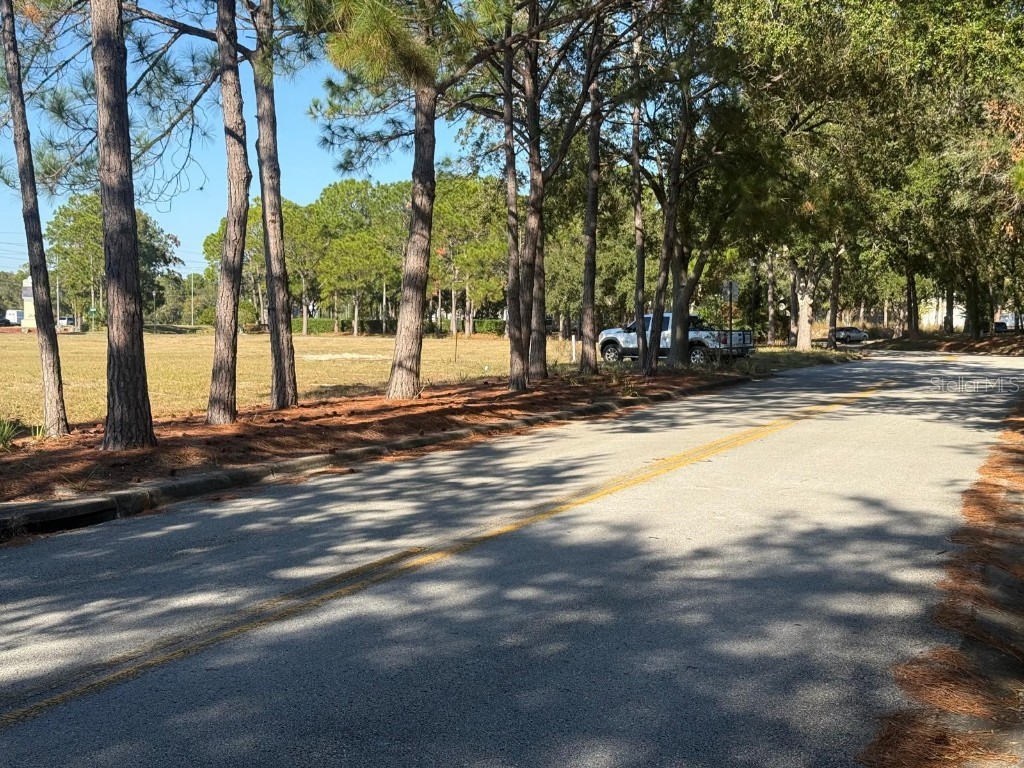 0 Forest Road Spring Hill FL 34606 TB8450081 image3