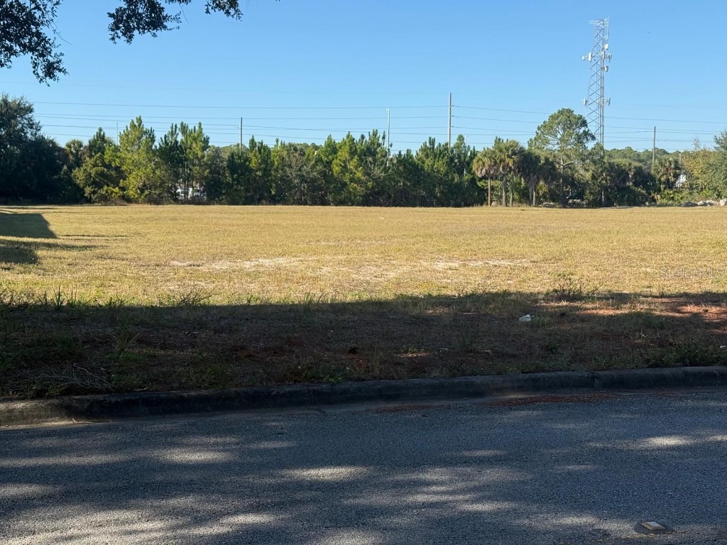 0 Forest Road Spring Hill FL 34606 TB8450081 image5