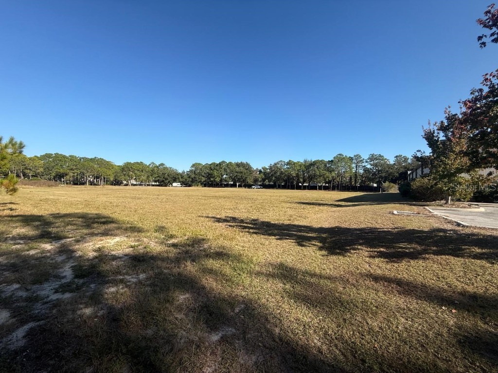 0 Forest Road Spring Hill FL 34606 TB8450081 image7