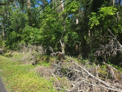 0 Fort Dade Avenue Brooksville FL 34601 TB8493754 image1