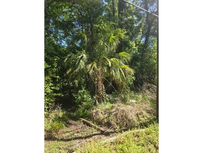 0 Fort Dade Avenue Brooksville FL 34601 TB8493754 image2