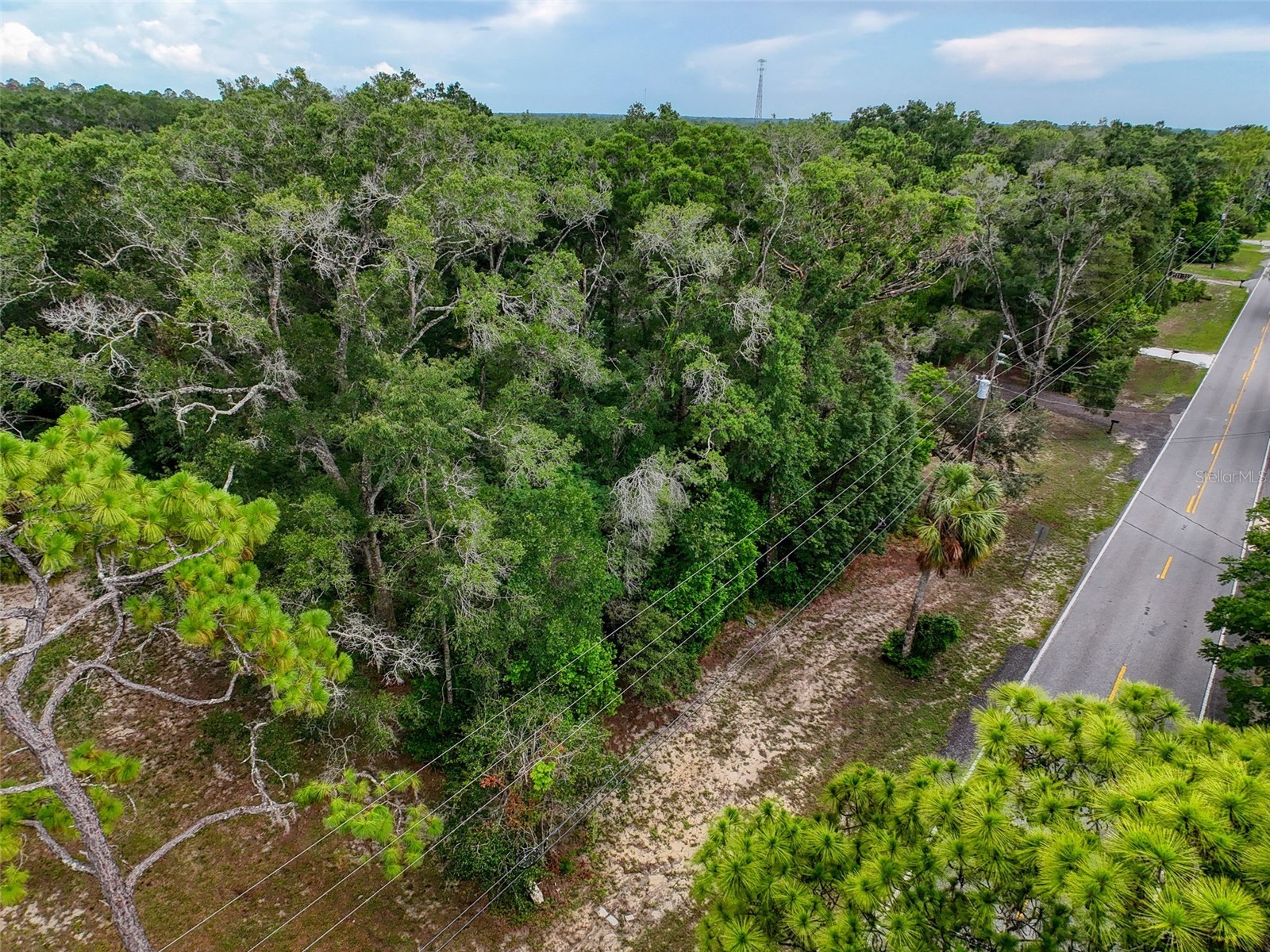 0 Fort Dade Avenue Brooksville FL 34601 W7887112 image25