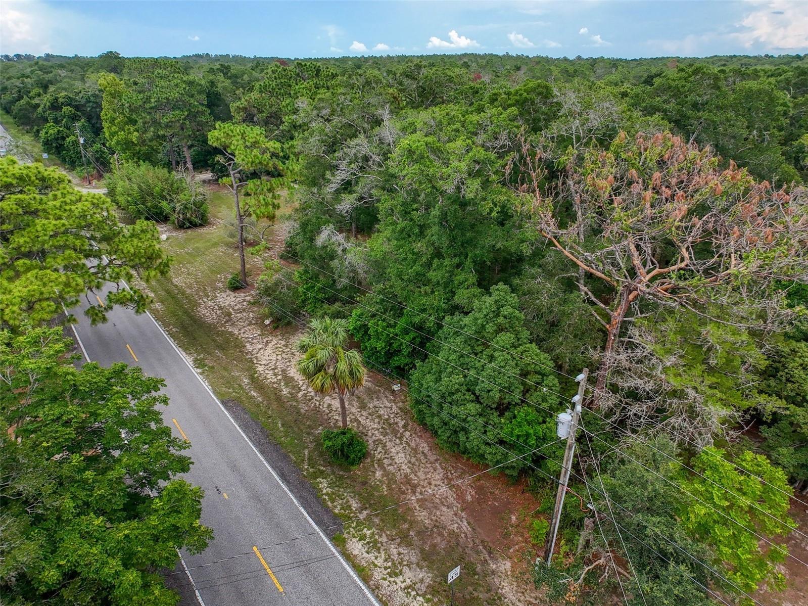 0 Fort Dade Avenue Brooksville FL 34601 W7887112 image26