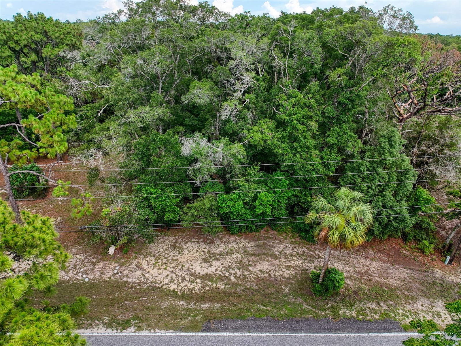 0 Fort Dade Avenue Brooksville FL 34601 W7887112 image27