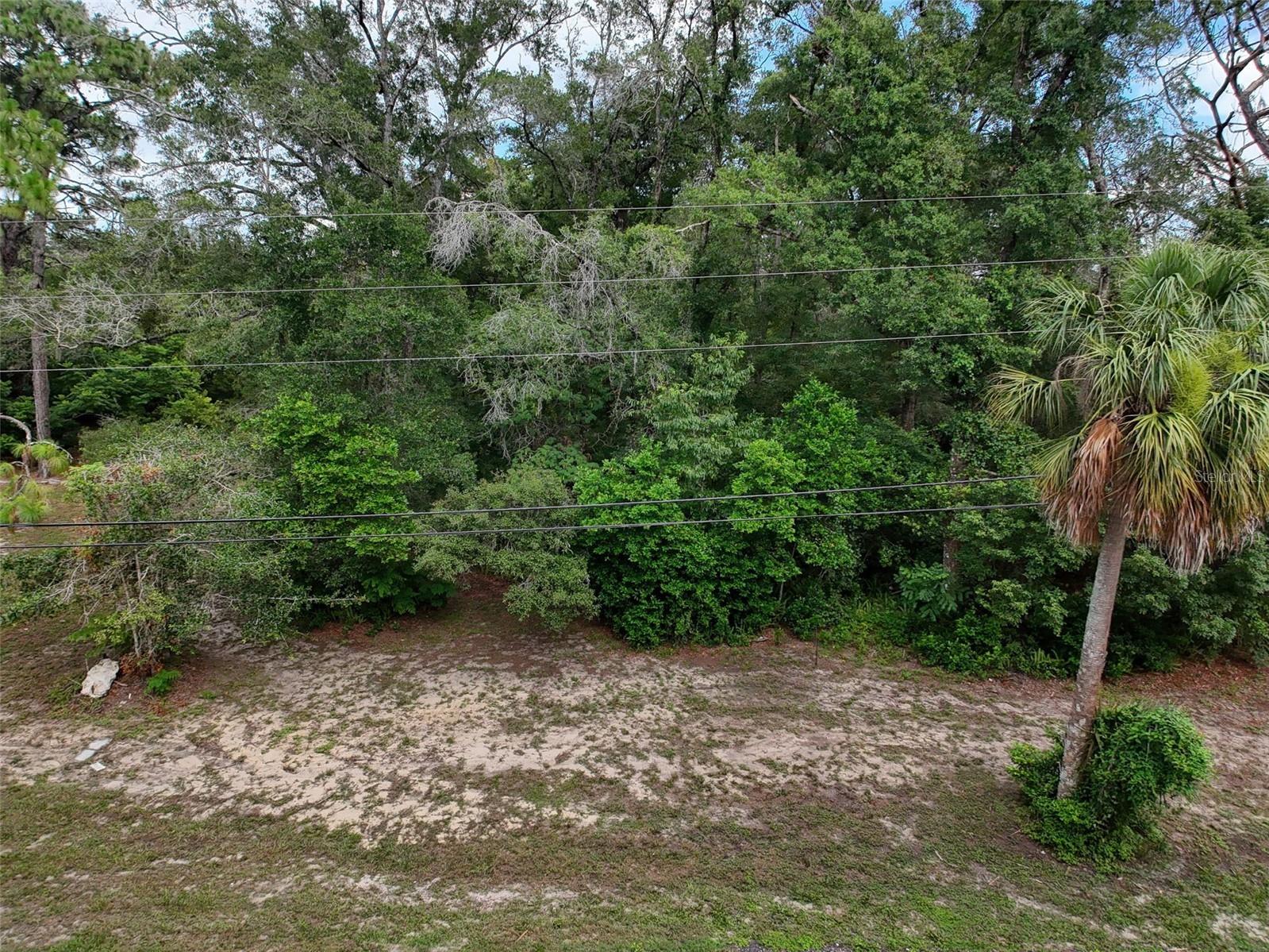 0 Fort Dade Avenue Brooksville FL 34601 W7887112 image28