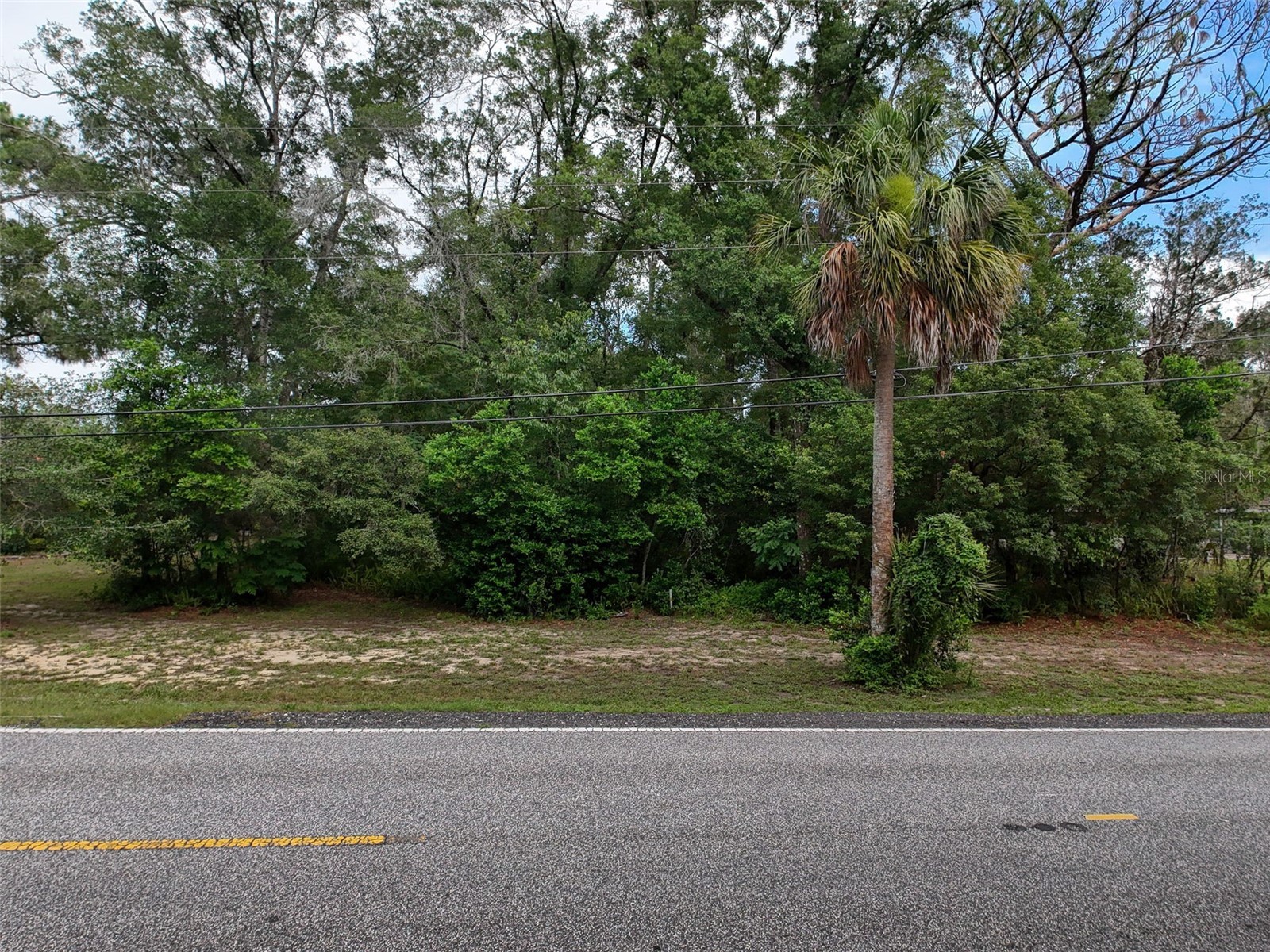 0 Fort Dade Avenue Brooksville FL 34601 W7887112 image3