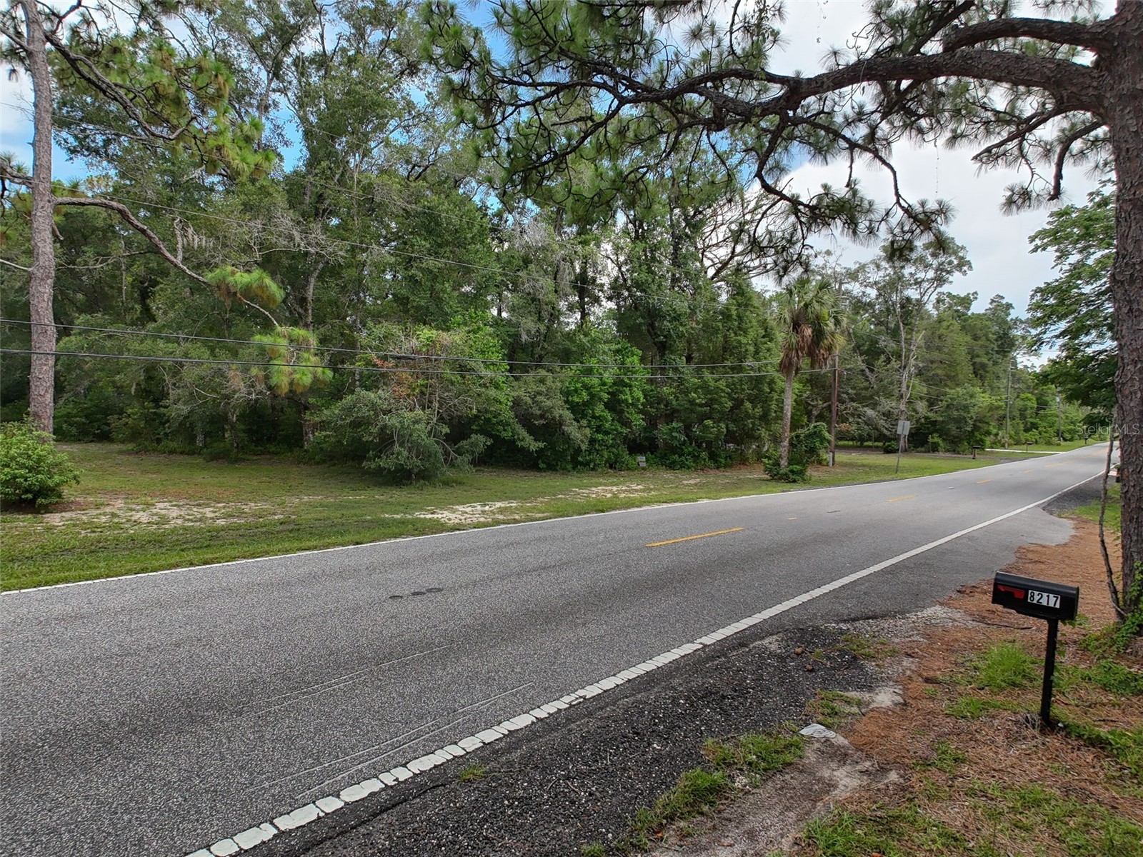 0 Fort Dade Avenue Brooksville FL 34601 W7887112 image30