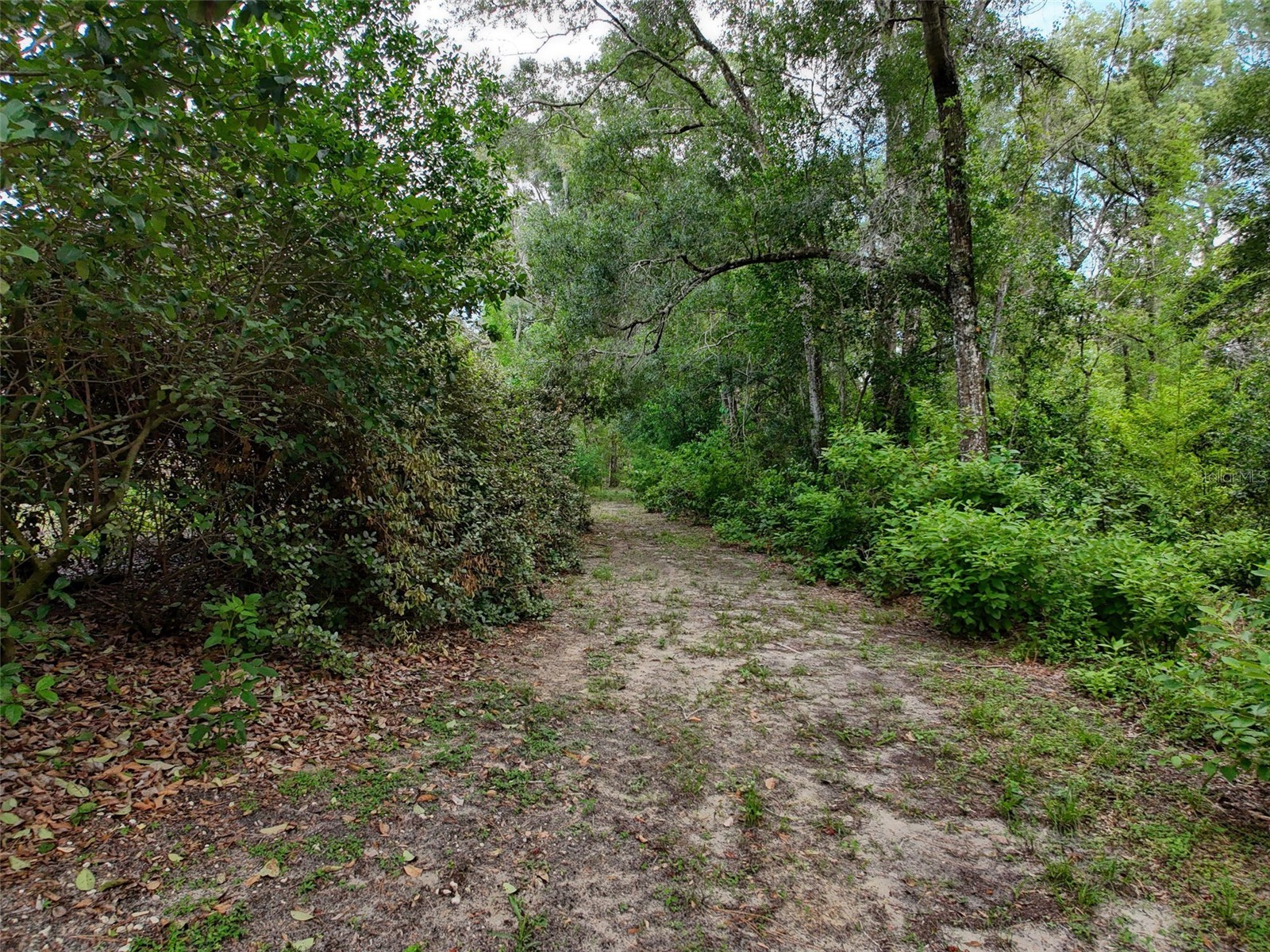 0 Fort Dade Avenue Brooksville FL 34601 W7887112 image32