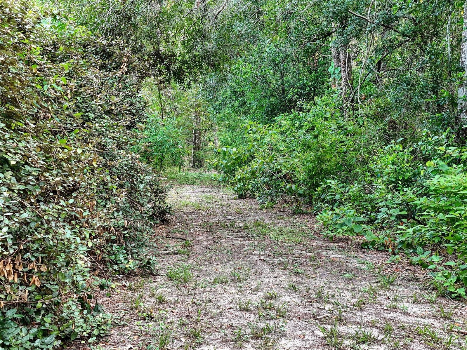 0 Fort Dade Avenue Brooksville FL 34601 W7887112 image4