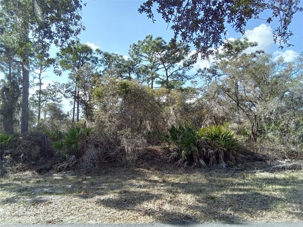 0 Fort Myers Drive Indian Lake Estates FL 33855 O6009416 image1