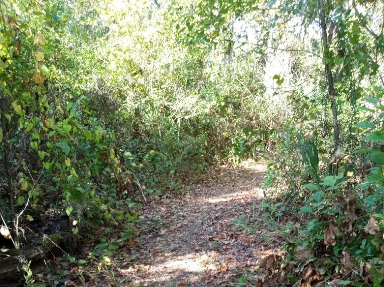 0 Fosgate Road Montverde FL 34756 G5078269 image1