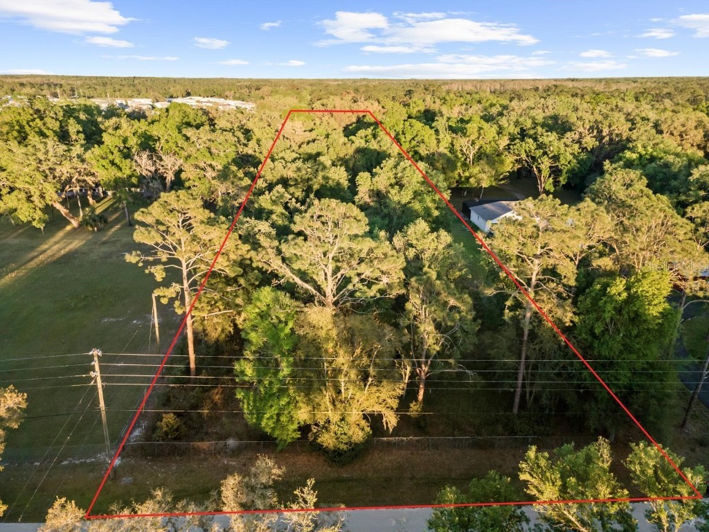 0 Frontier Drive Zephyrhills FL 33540 TB8363154 image1