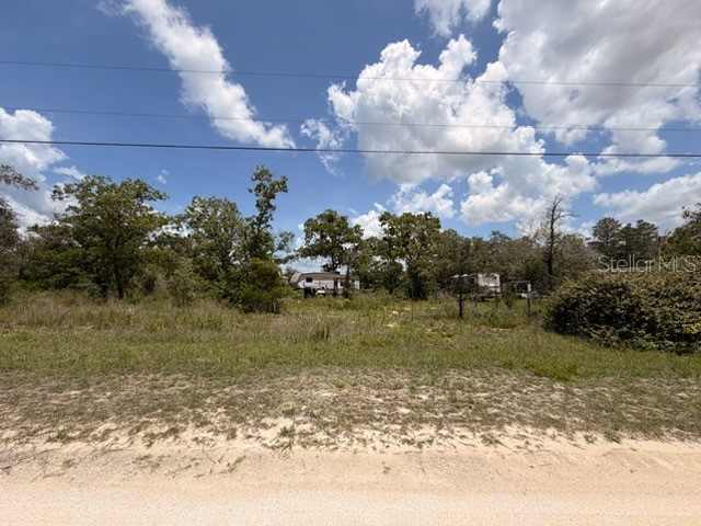 0 Fulmar Road Weeki Wachee FL 34614 TB8510763 image1