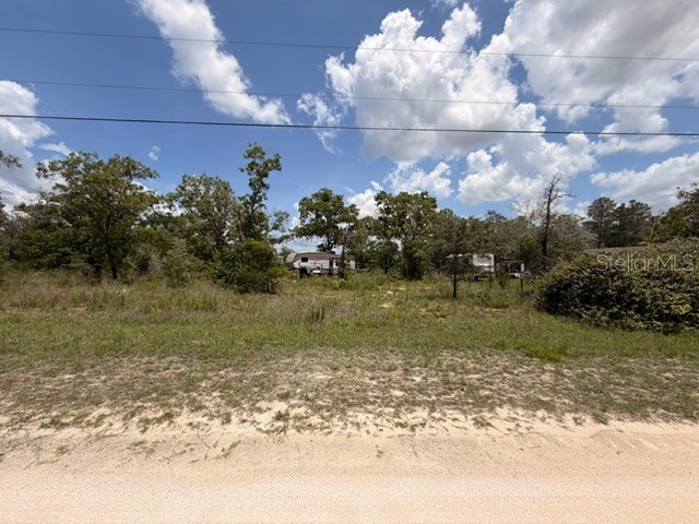 0 Fulmar Road Weeki Wachee FL 34614 TB8510763 image5