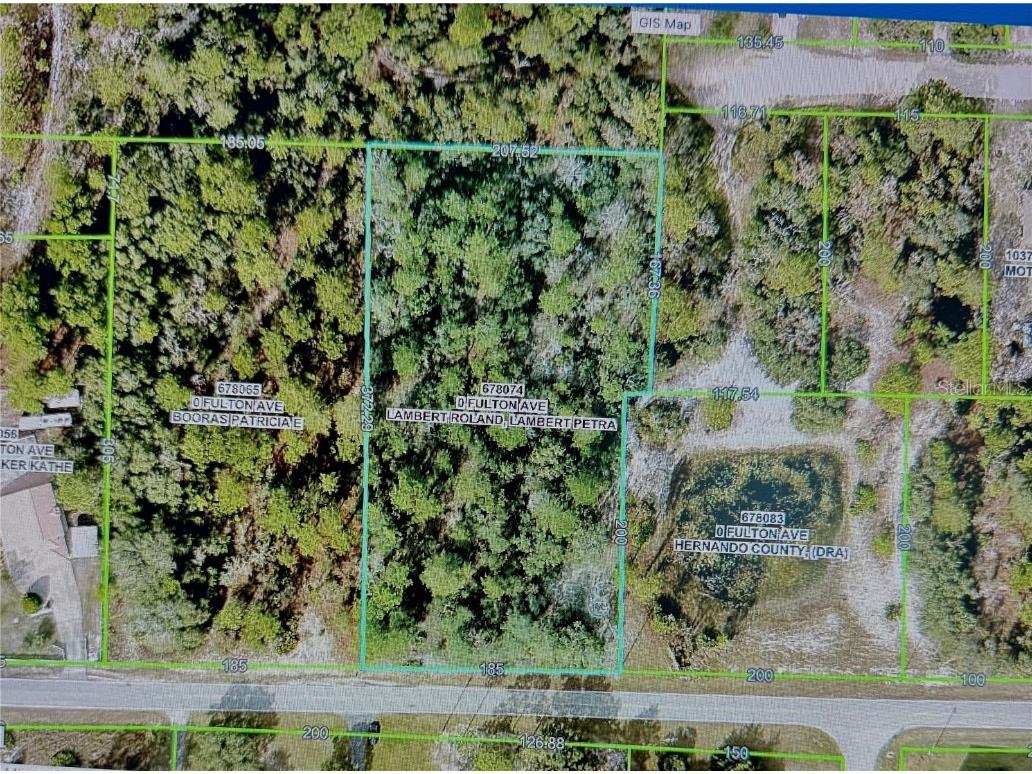 0 Fulton Avenue Weeki Wachee FL 34613 TB8404474 image1