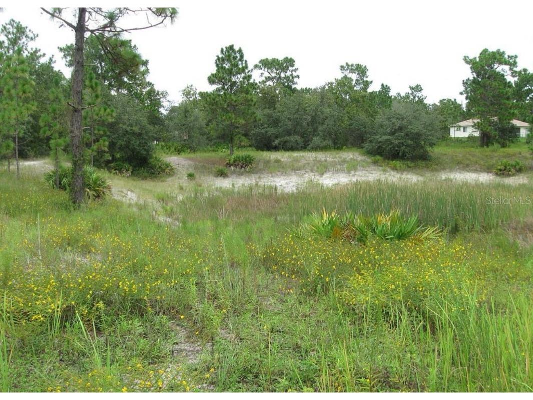 0 Fulton Avenue Weeki Wachee FL 34613 TB8404474 image4