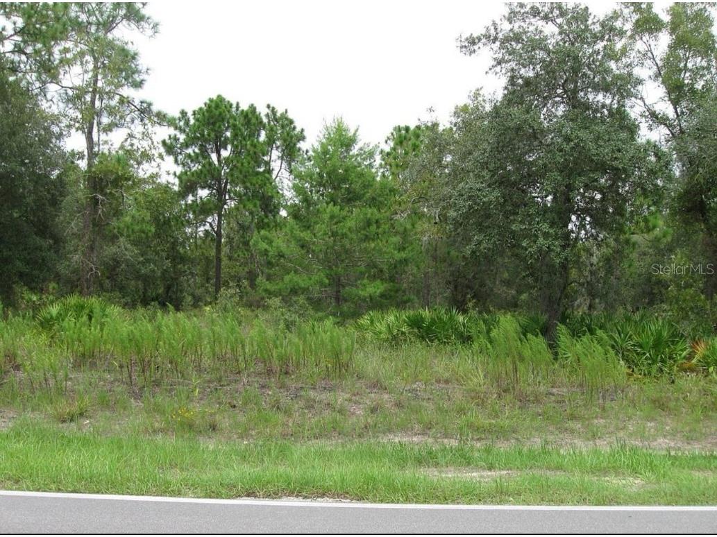 0 Fulton Avenue Weeki Wachee FL 34613 TB8404474 image5