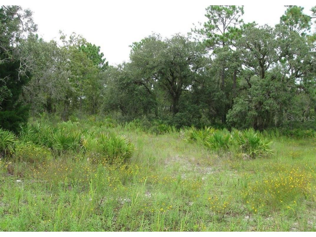 0 Fulton Avenue Weeki Wachee FL 34613 TB8404474 image6