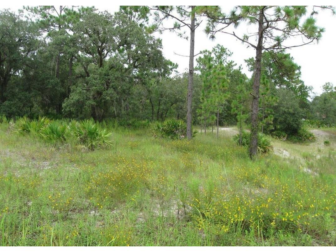 0 Fulton Avenue Weeki Wachee FL 34613 TB8404474 image7