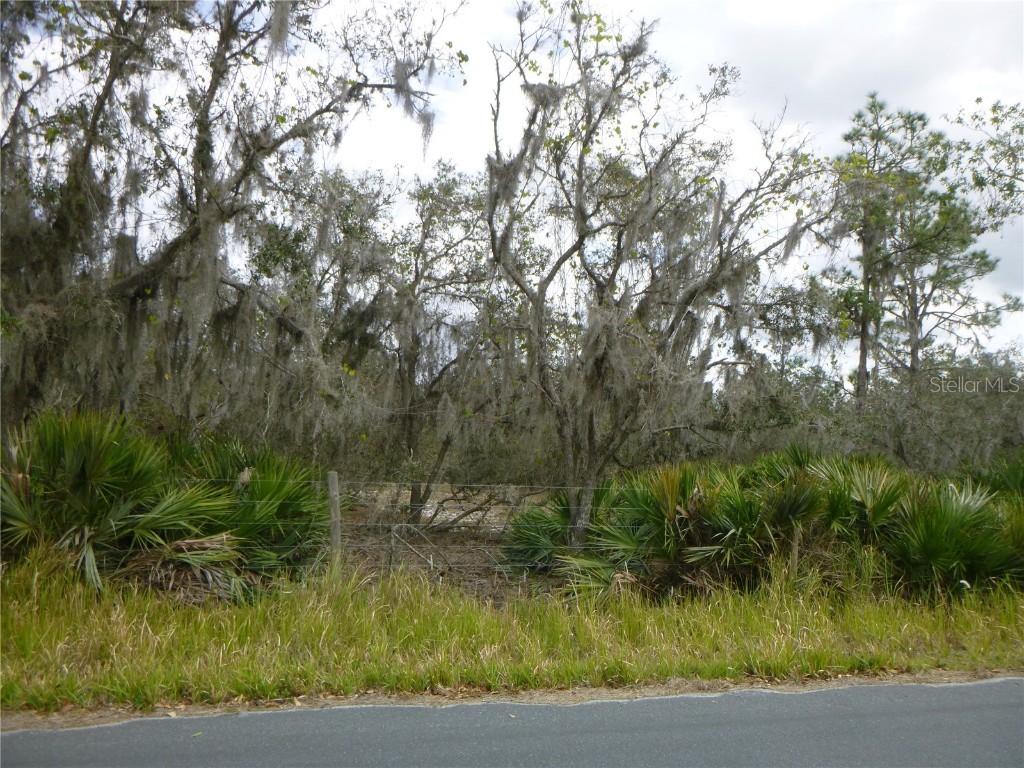 0 Gabriel Road Fort Meade FL 33841 B4901203 image1