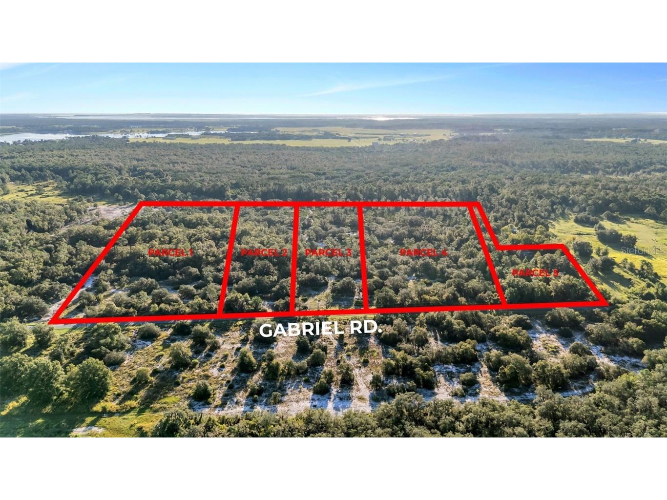 0 Gabriel Road Fort Meade FL 33841 L4955959 image3
