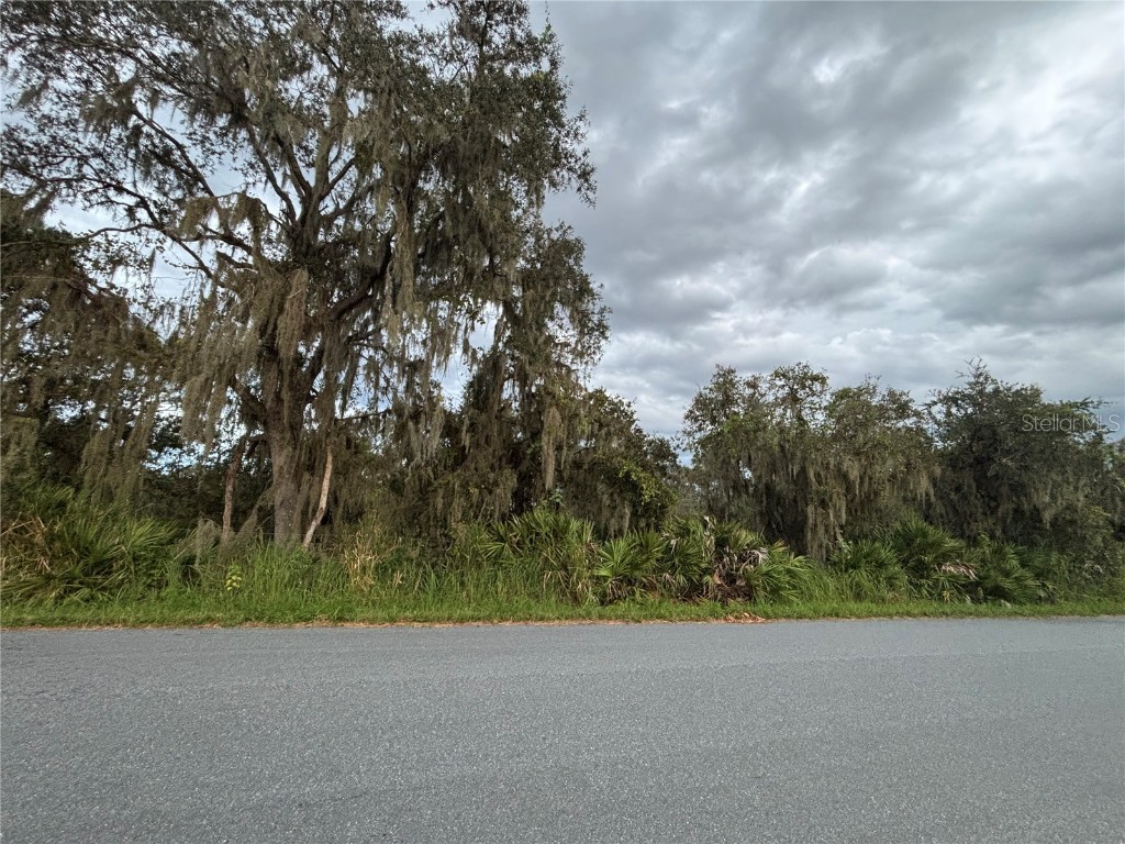 0 Gabriel Road Fort Meade FL 33841 L4955960 image1