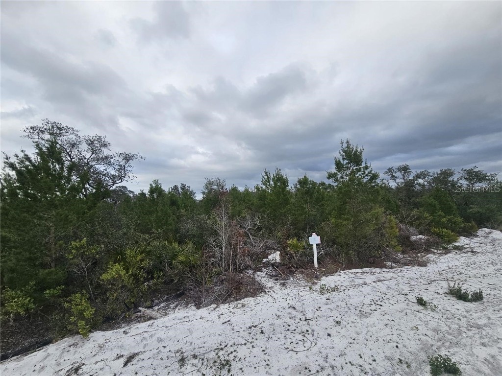 0 Gaillardia Dr Indian Lake Estates FL 33855 - LAKE WEOHYAKAPKA TB8395466 image6
