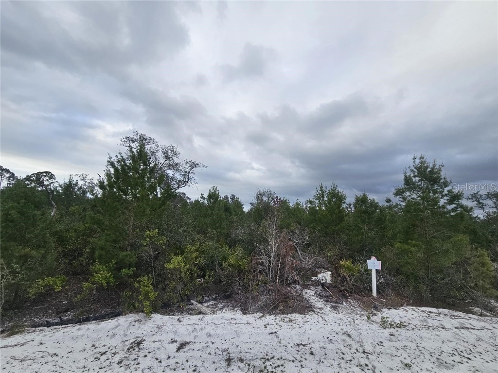 0 Gaillardia Dr Indian Lake Estates FL 33855 - LAKE WEOHYAKAPKA TB8395466 image7