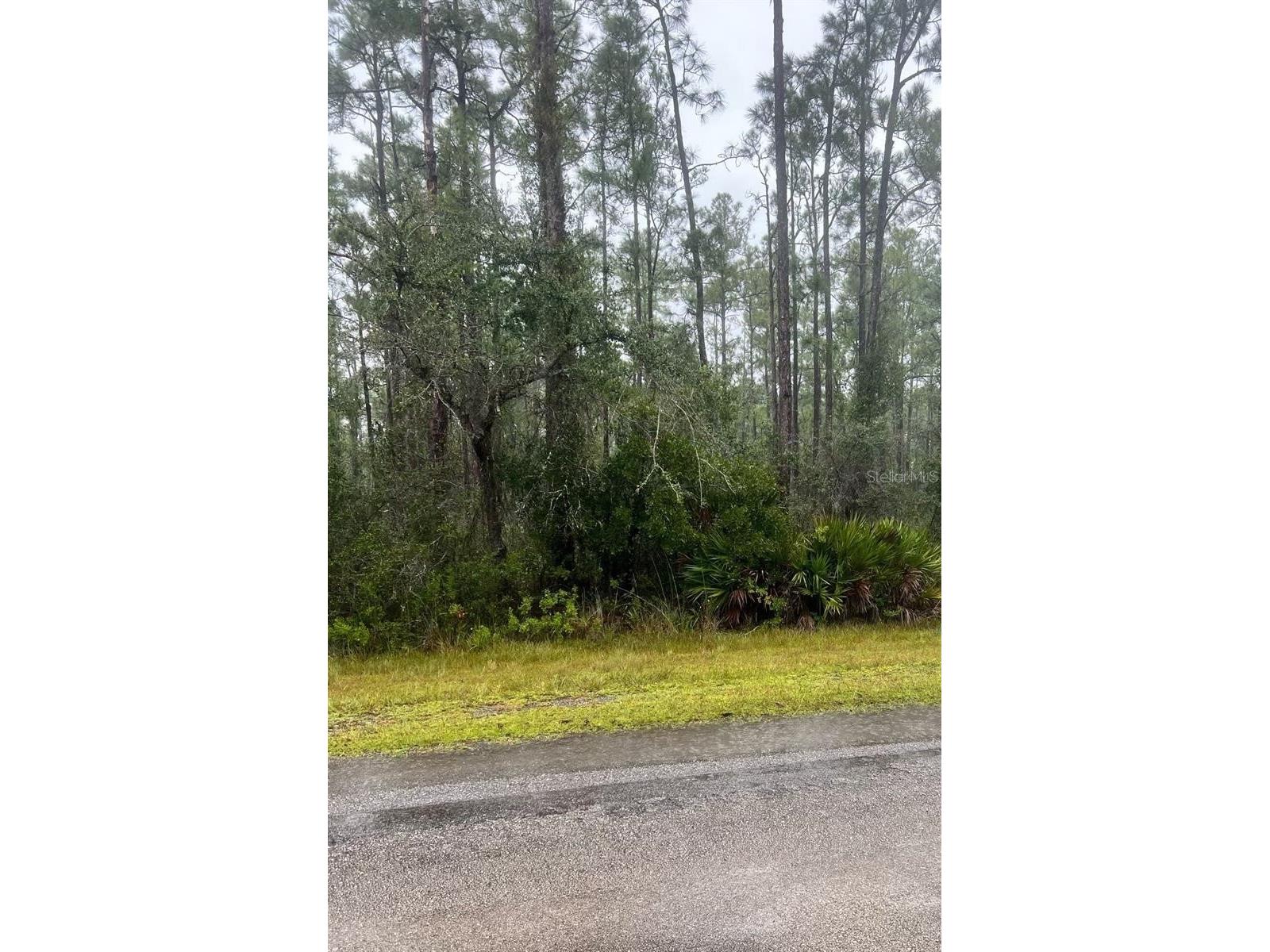 0 Gaillardia Drive Indian Lake Estates FL 33855 OM718485 image1