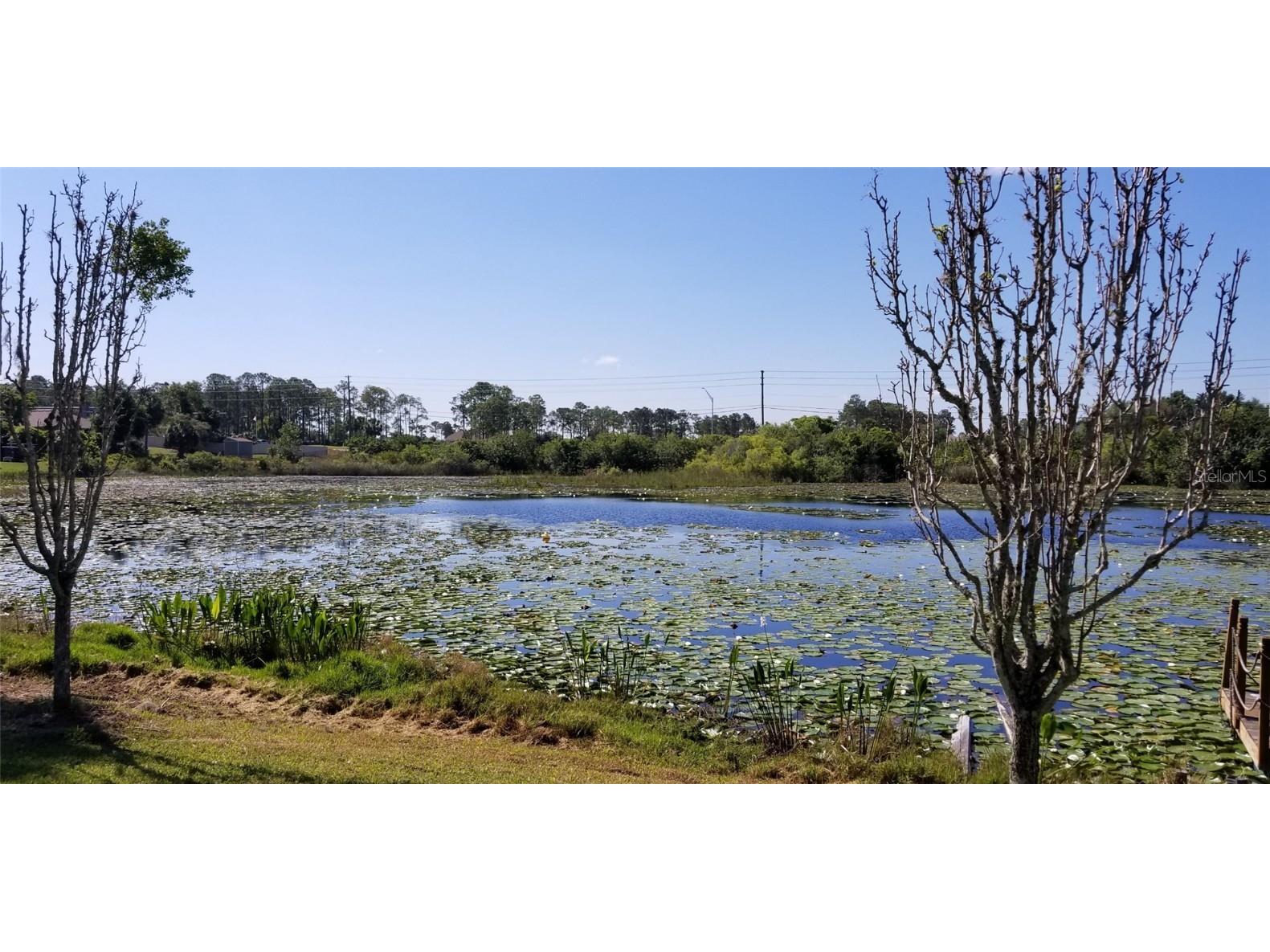 0 Galaxy Ave Lot 28 Spring Hill FL 34606 W7869780 image1