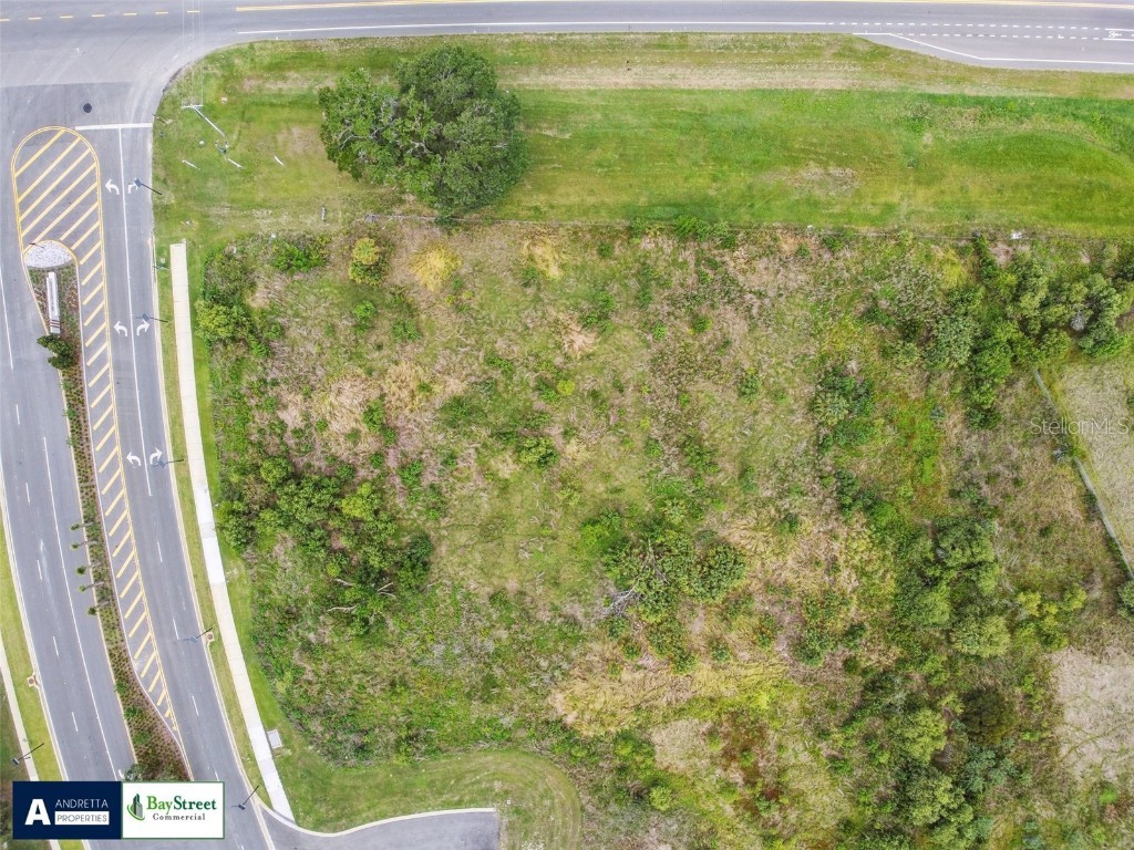 0 Gall Boulevard #2.59 ACRES Zephyrhills FL 33541 TB8404006 image3