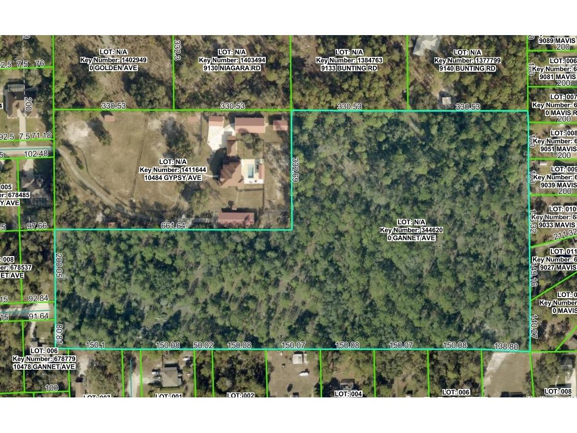 0 Gannet Avenue Weeki Wachee FL 34613 TB8486007 image1