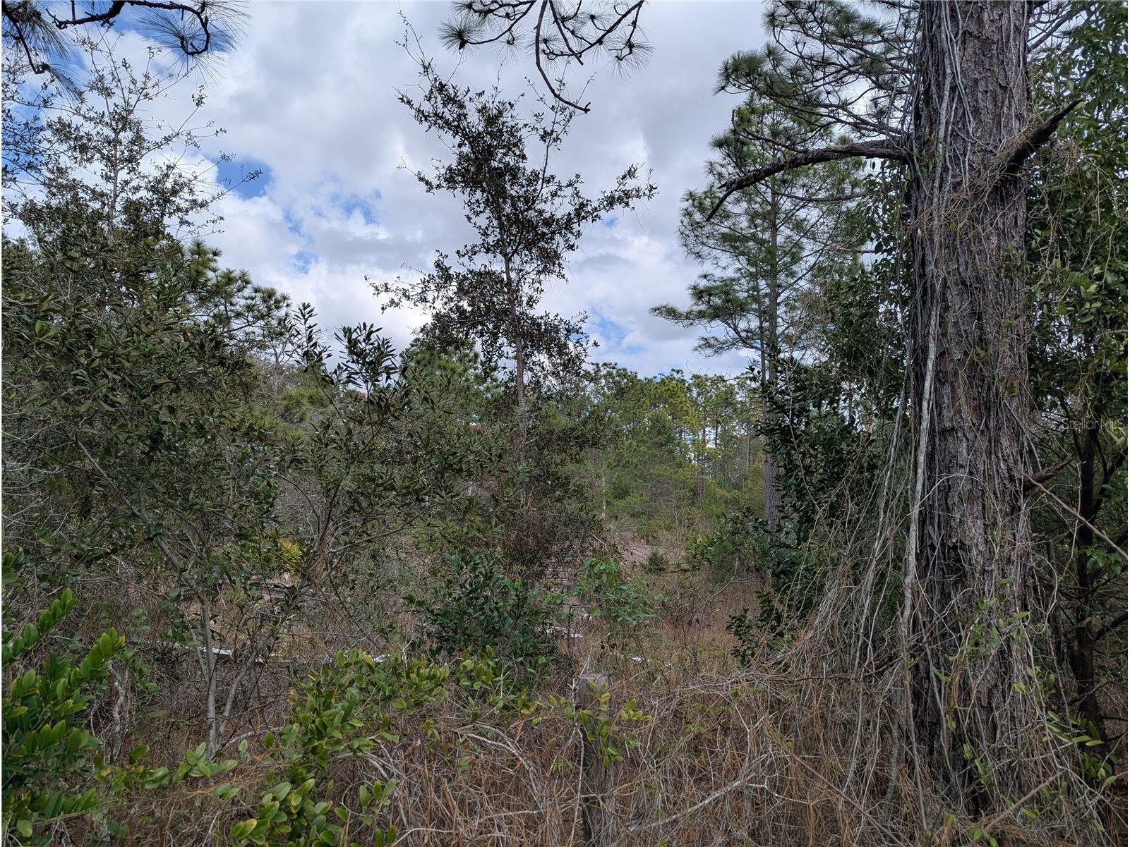 0 Gannet Avenue Weeki Wachee FL 34613 TB8486007 image10