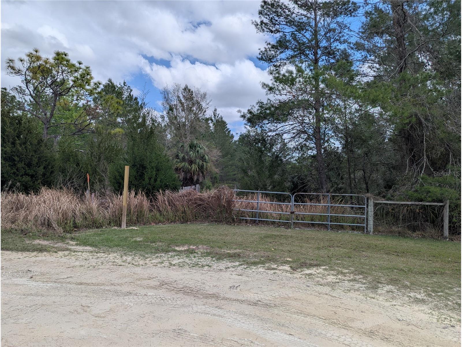 0 Gannet Avenue Weeki Wachee FL 34613 TB8486007 image3